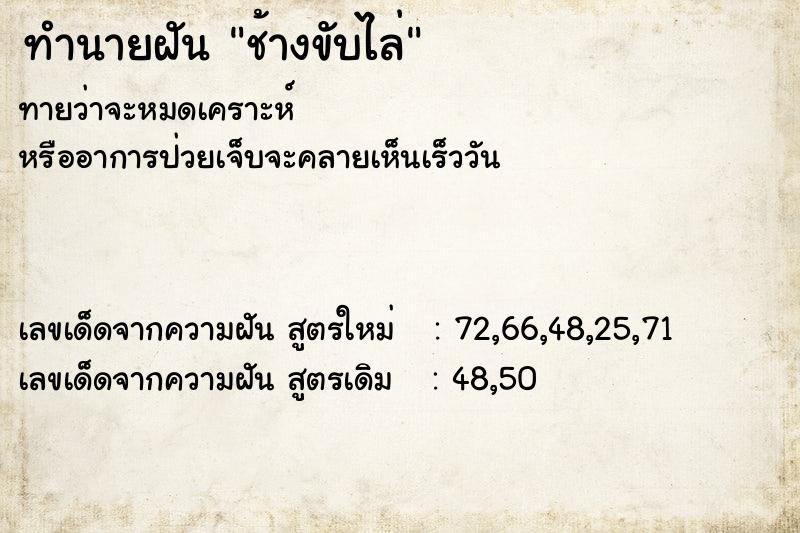 ทำนายฝันช้างขับไล่ ทำนายฝันทำนายฝันช้างขับไล่