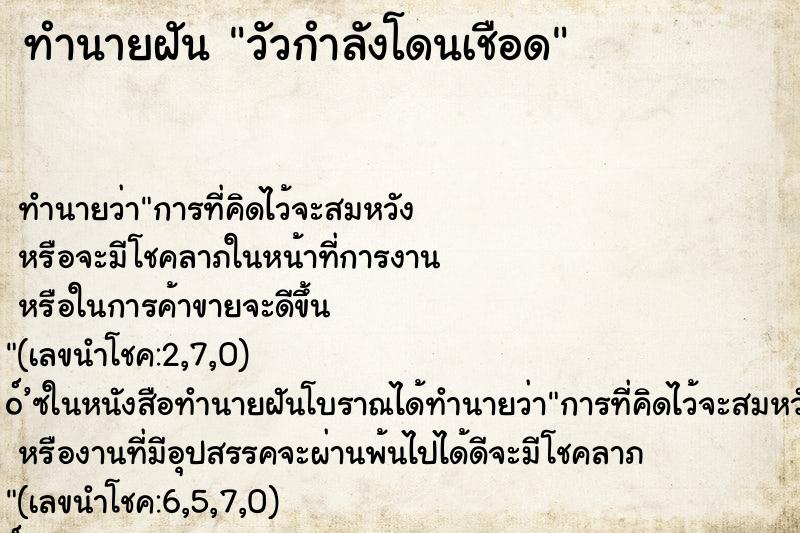 ทำนายฝันวัวกำลังโดนเชือด ทำนายฝันทำนายฝันวัวกำลังโดนเชือด