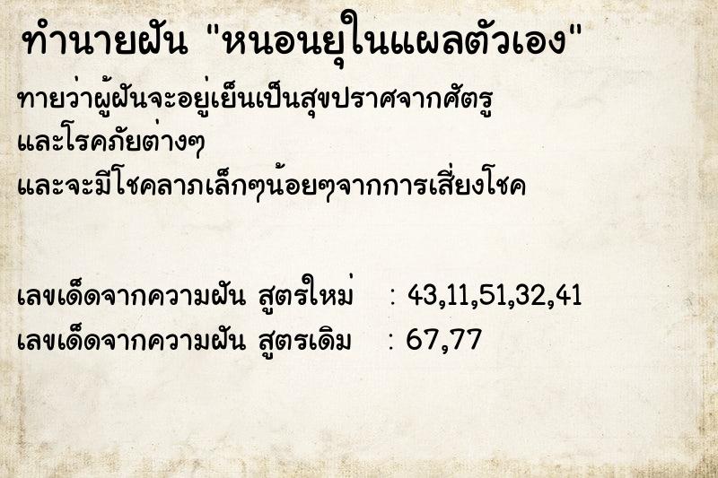 ทำนายฝันหนอนยุในแผลตัวเอง ทำนายฝันทำนายฝันหนอนยุในแผลตัวเอง