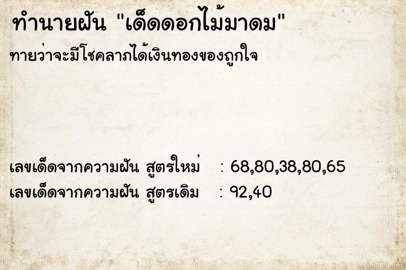 ทำนายฝัน เด็ดดอกไม้มาดม ทำนายฝัน เด็ดดอกไม้มาดม