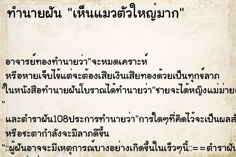 ทำนายฝันทำนายฝันเห็นแมวตัวใหญ่มาก