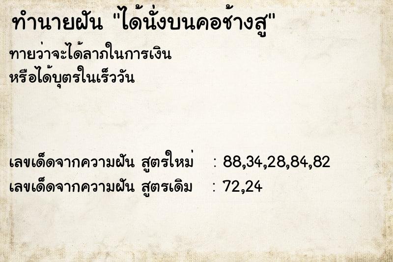 ทำนายฝันได้นั่งบนคอช้างสู ทำนายฝันทำนายฝันได้นั่งบนคอช้างสู