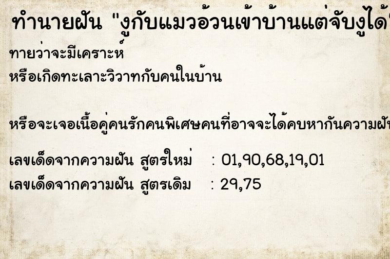 ทำนายฝันงูกับแมวอ้วนเข้าบ้านแต่จับงูได้ ทำนายฝันทำนายฝันงูกับแมวอ้วนเข้าบ้านแต่จับงูได้