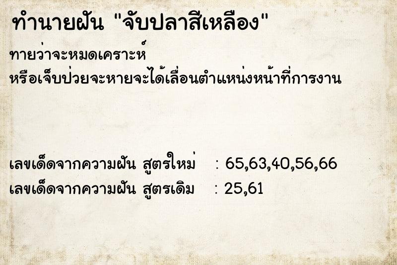 ทำนายฝันจับปลาสีเหลือง ทำนายฝันทำนายฝันจับปลาสีเหลือง