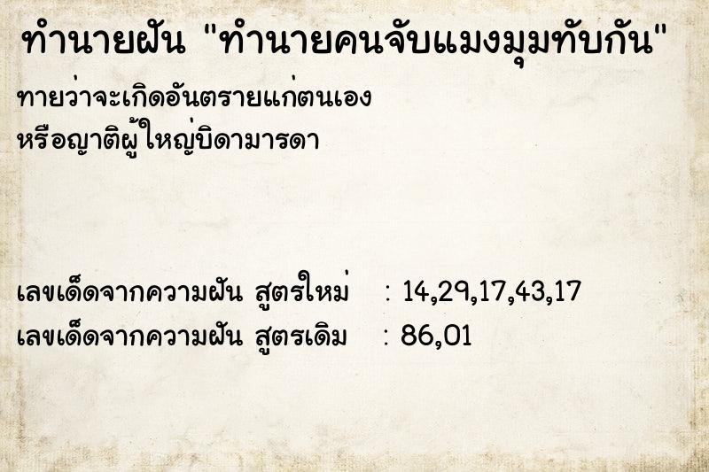 ทำนายฝันทำนายคนจับแมงมุมทับกัน ทำนายฝันทำนายฝันทำนายคนจับแมงมุมทับกัน