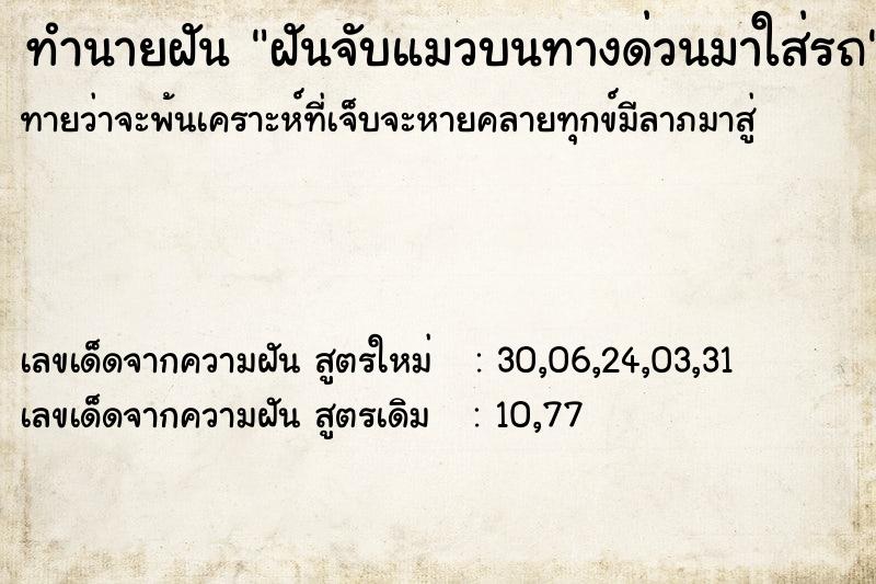 ทำนายฝันฝันจับแมวบนทางด่วนมาใส่รถ ทำนายฝันทำนายฝันฝันจับแมวบนทางด่วนมาใส่รถ