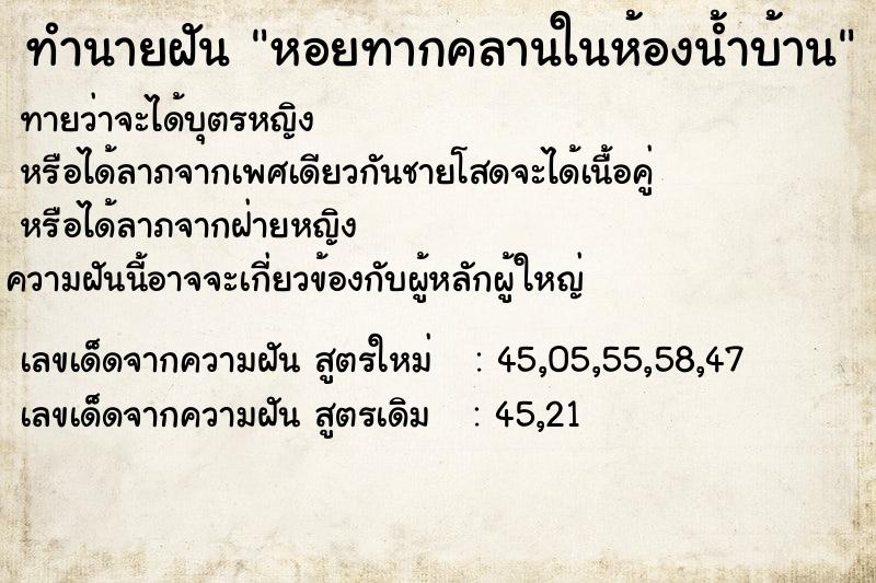 ทำนายฝันหอยทากคลานในห้องน้ำบ้าน ทำนายฝันทำนายฝันหอยทากคลานในห้องน้ำบ้าน