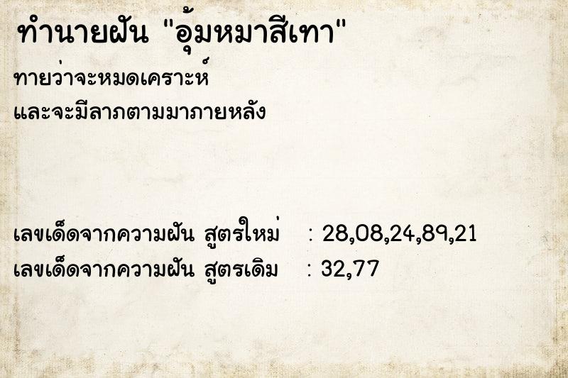 ทำนายฝันอุ้มหมาสีเทา ทำนายฝันทำนายฝันอุ้มหมาสีเทา