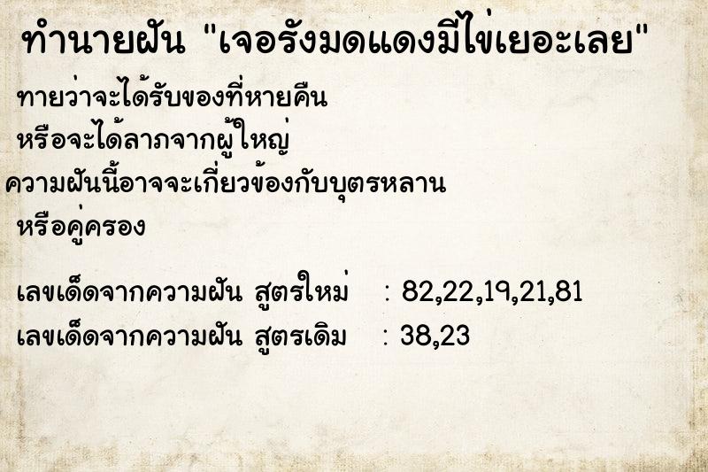 ทำนายฝันทำนายฝันเจอรังมดแดงมีไข่เยอะเลย