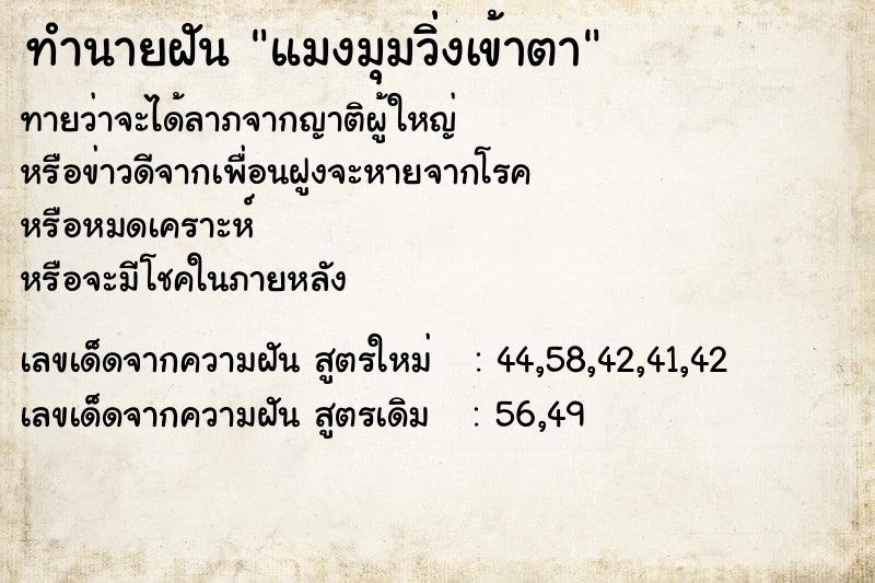 ทำนายฝันแมงมุมวิ่งเข้าตา ทำนายฝันทำนายฝันแมงมุมวิ่งเข้าตา