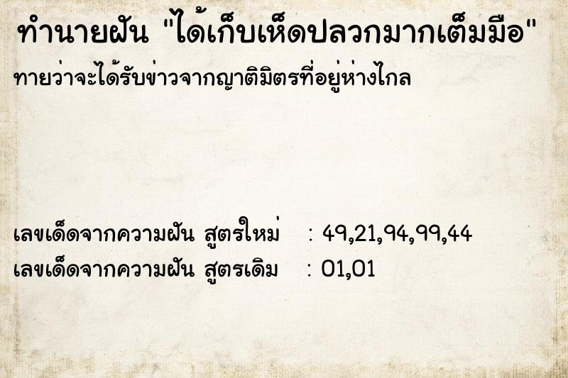 ทำนายฝัน ได้เก็บเห็ดปลวกมากเต็มมือ ทำนายฝัน ได้เก็บเห็ดปลวกมากเต็มมือ