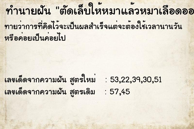 ทำนายฝันทำนายฝันตัดเล็บให้หมาแล้วหมาเลือดออกแล้วตัวเองเป็นลม