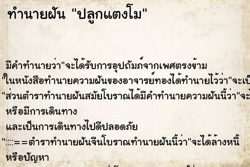 ทำนายฝัน ปลูกแตงโม ทำนายฝัน ปลูกแตงโม