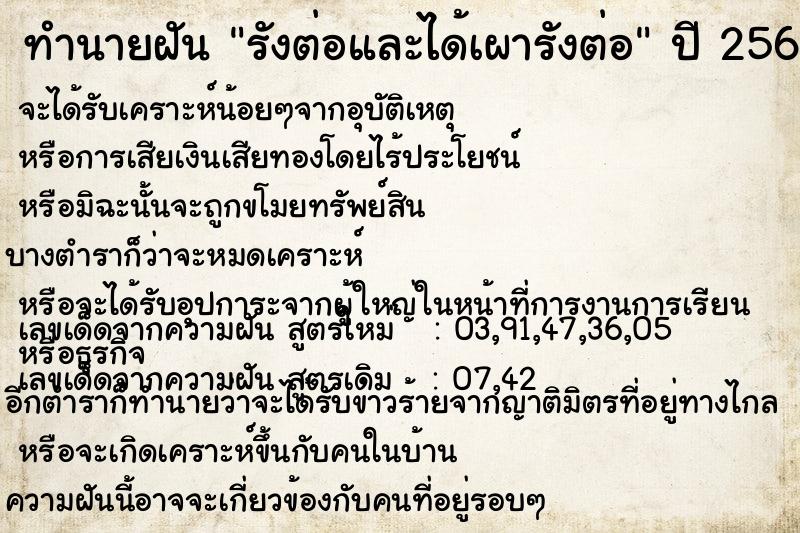 ทำนายฝัน รังต่อและได้เผารังต่อ ทำนายฝัน รังต่อและได้เผารังต่อ