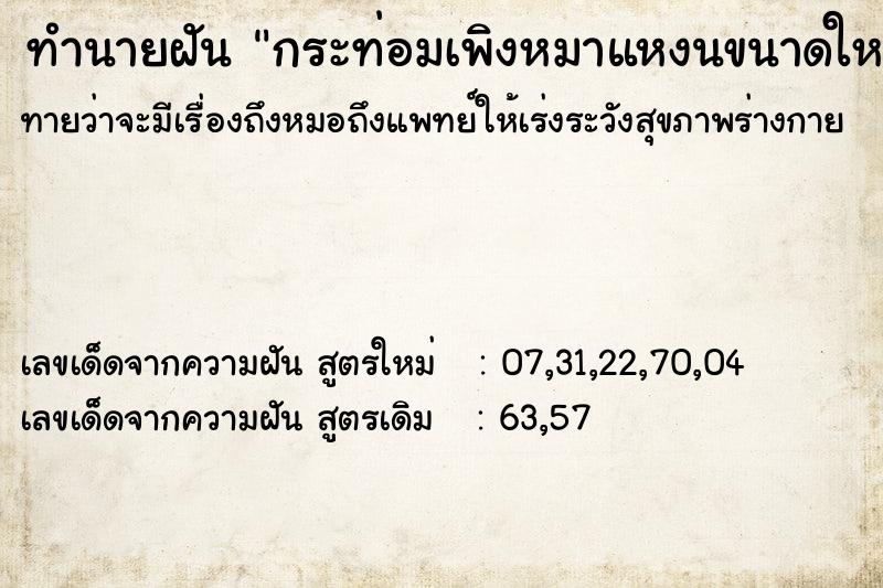 ทำนายฝันกระท่อมเพิงหมาแหงนขนาดใหญ่ ทำนายฝันทำนายฝันกระท่อมเพิงหมาแหงนขนาดใหญ่