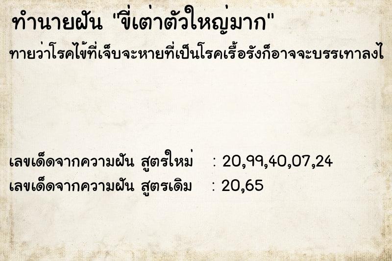 ทำนายฝันทำนายฝันขี่เต่าตัวใหญ่มาก