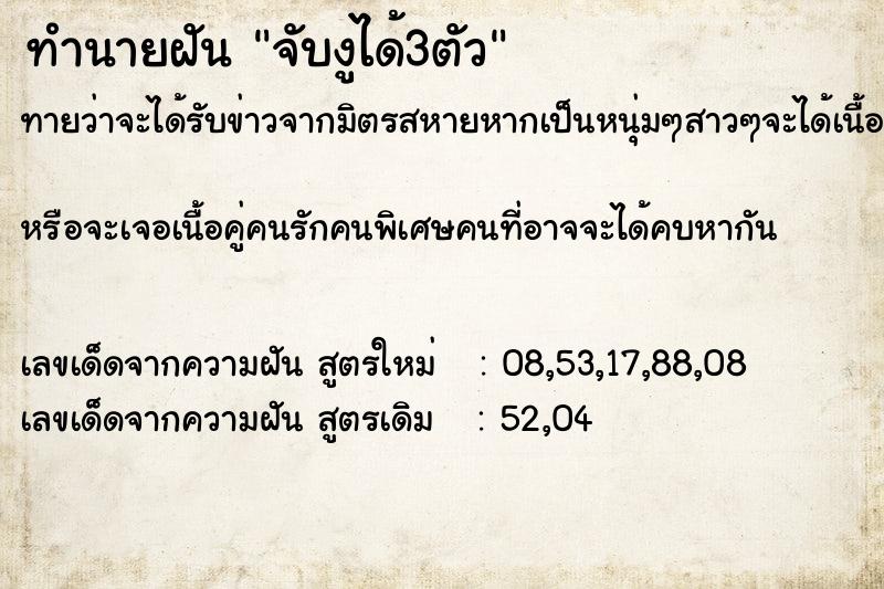 ทำนายฝันทำนายฝันจับงูได้3ตัว