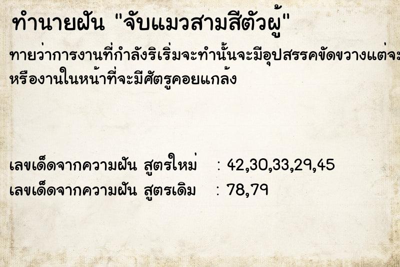 ทำนายฝันทำนายฝันจับแมวสามสีตัวผู้