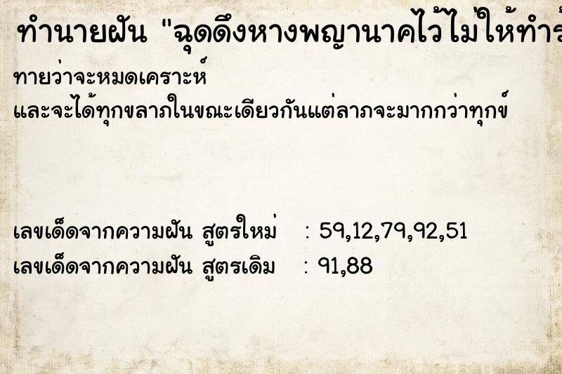 ทำนายฝันฉุดดึงหางพญานาคไว้ไม่ให้ทำร้ายคนอื่น ทำนายฝันทำนายฝันฉุดดึงหางพญานาคไว้ไม่ให้ทำร้ายคนอื่น