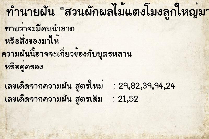 ทำนายฝันทำนายฝันสวนผักผลไม้แตงโมงลูกใหญ่มากหลายลูก