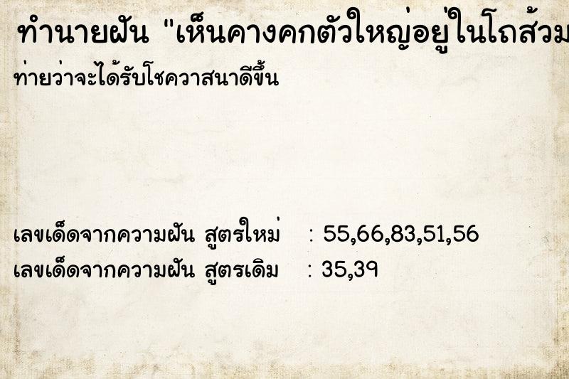 ทำนายฝัน เห็นคางคกตัวใหญ่อยู่ในโถส้วม