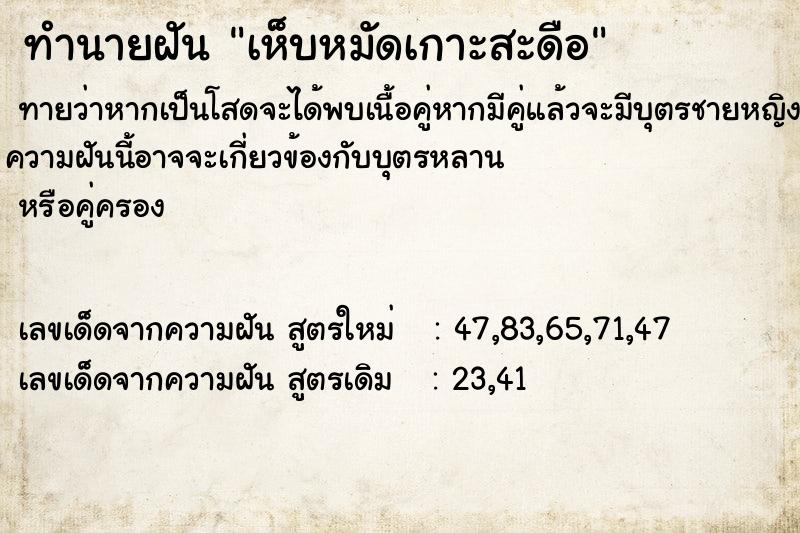 ทำนายฝันทำนายฝันเห็บหมัดเกาะสะดือ