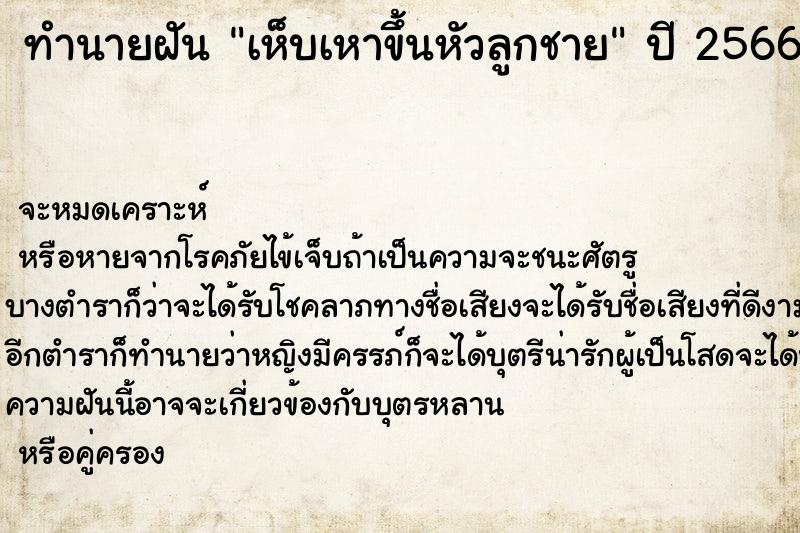 ทำนายฝันทำนายฝันเห็บเหาขึ้นหัวลูกชาย