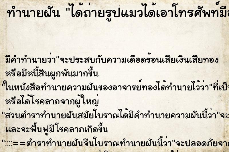 ทำนายฝัน ได้ถ่ายรูปแมวได้เอาโทรศัพท์มือถือถ่ายรูปแมว ทำนายฝัน ได้ถ่ายรูปแมวได้เอาโทรศัพท์มือถือถ่ายรูปแมว
