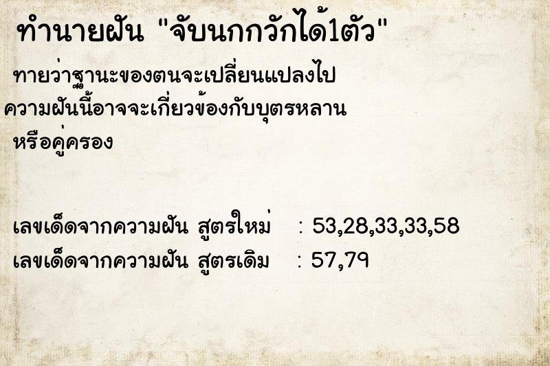 ทำนายฝันจับนกกวักได้1ตัว ทำนายฝันทำนายฝันจับนกกวักได้1ตัว