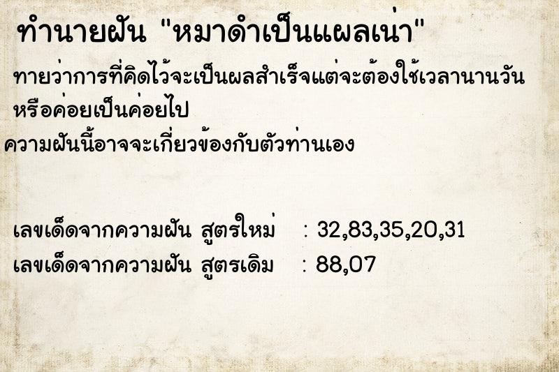 ทำนายฝัน หมาดำเป็นแผลเน่า ทำนายฝัน หมาดำเป็นแผลเน่า