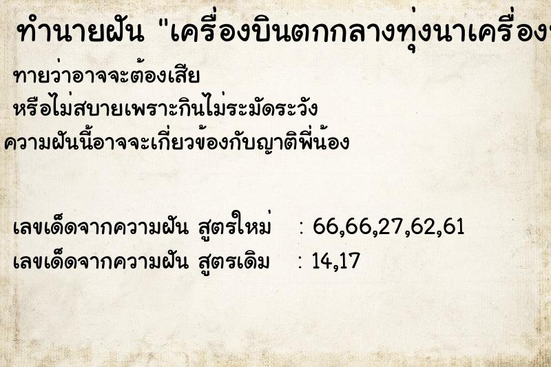 ทำนายฝัน เครื่องบินตกกลางทุ่งนาเครื่องบินตกกลางทุ่งนา ทำนายฝัน เครื่องบินตกกลางทุ่งนาเครื่องบินตกกลางทุ่งนา