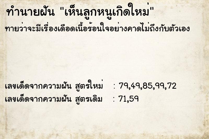 ทำนายฝันเห็นลูกหนูเกิดใหม่ ทำนายฝันทำนายฝันเห็นลูกหนูเกิดใหม่