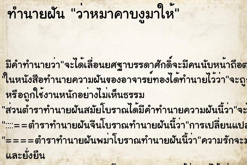 ทำนายฝัน ว่าหมาคาบงูมาให้ ทำนายฝัน ว่าหมาคาบงูมาให้