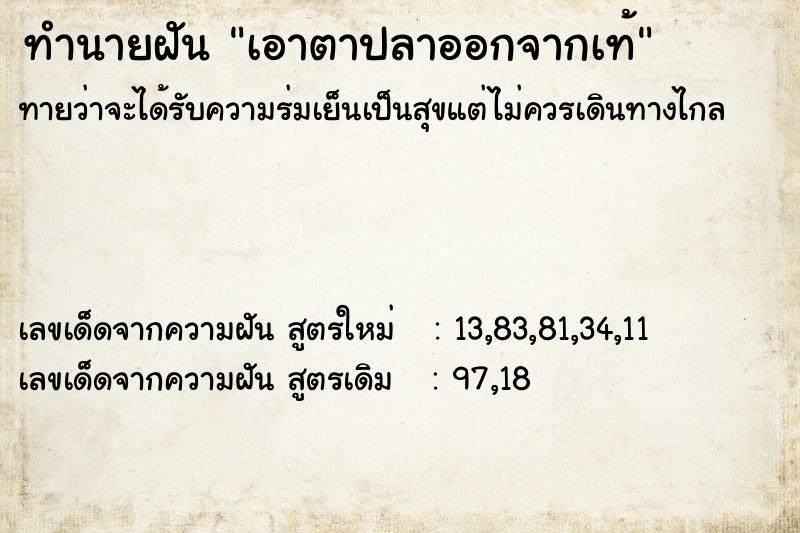 ทำนายฝันเอาตาปลาออกจากเท้ ทำนายฝันทำนายฝันเอาตาปลาออกจากเท้