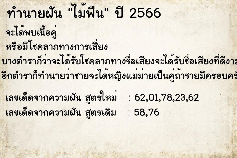 ทำนายฝัน ไม้ฟืน