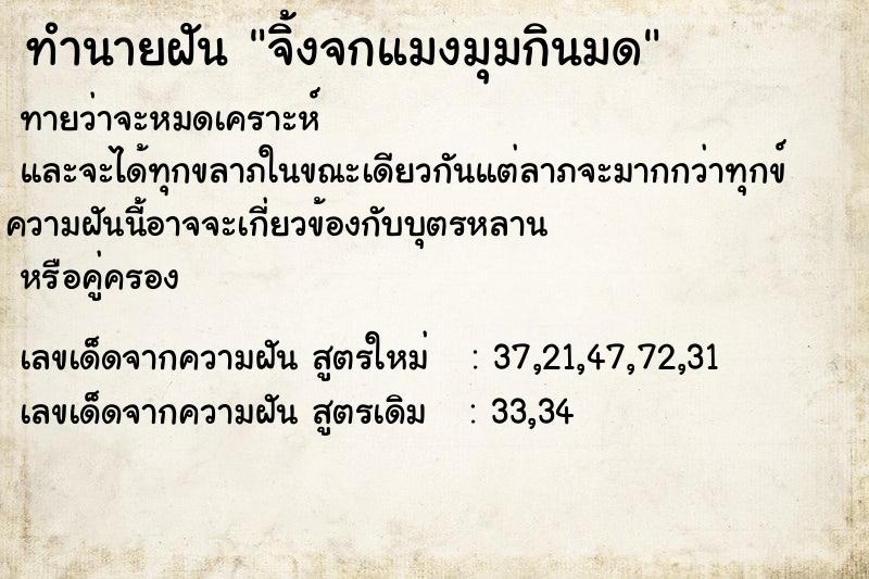 ทำนายฝันจิ้งจกแมงมุมกินมด ทำนายฝันทำนายฝันจิ้งจกแมงมุมกินมด