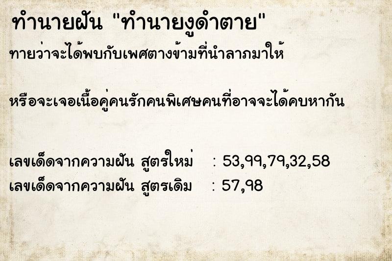 ทำนายฝันทำนายงูดำตาย ทำนายฝันทำนายฝันทำนายงูดำตาย