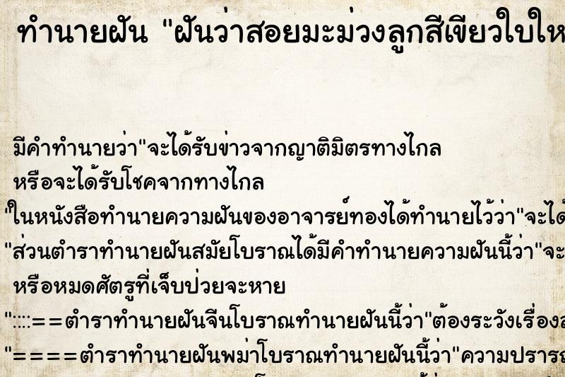 ทำนายฝันฝันว่าสอยมะม่วงลูกสีเขียวใบใหญ่จากต้นหลายลูก ทำนายฝันทำนายฝันฝันว่าสอยมะม่วงลูกสีเขียวใบใหญ่จากต้นหลายลูก