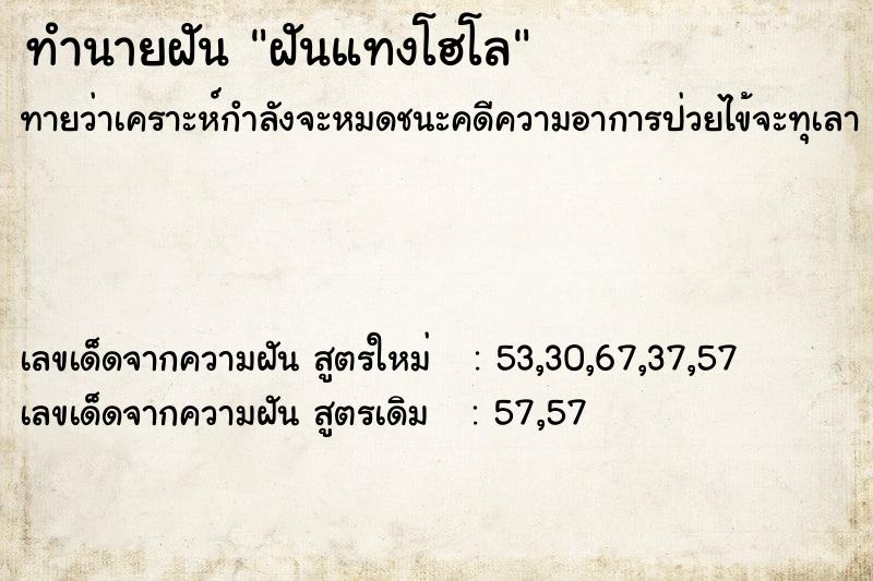 ทำนายฝันฝันแทงโฮโล ทำนายฝันทำนายฝันฝันแทงโฮโล