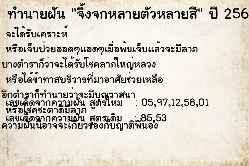 ทำนายฝันทำนายฝันจิ้งจกหลายตัวหลายสี