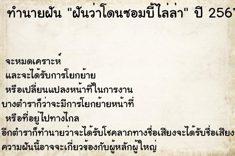 ทำนายฝันฝันว่าโดนซอมบี้ไล่ล่า ทำนายฝันทำนายฝันฝันว่าโดนซอมบี้ไล่ล่า