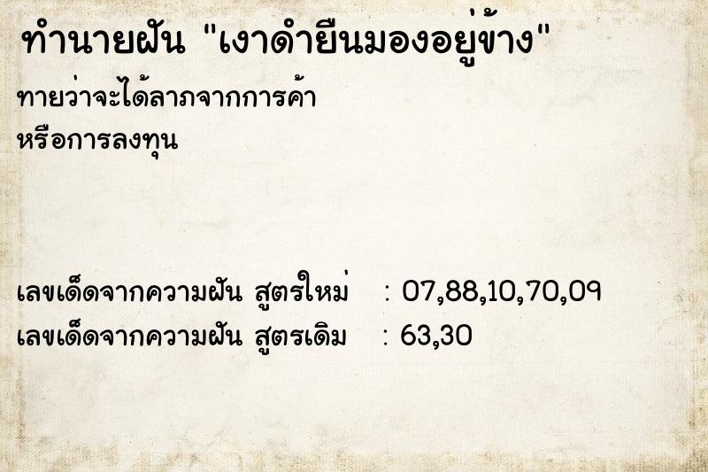 ทำนายฝันเงาดำยืนมองอยู่ข้าง ทำนายฝันทำนายฝันเงาดำยืนมองอยู่ข้าง