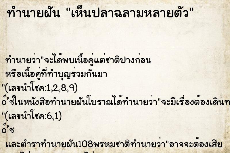 ทำนายฝันเห็นปลาฉลามหลายตัว ทำนายฝันทำนายฝันเห็นปลาฉลามหลายตัว