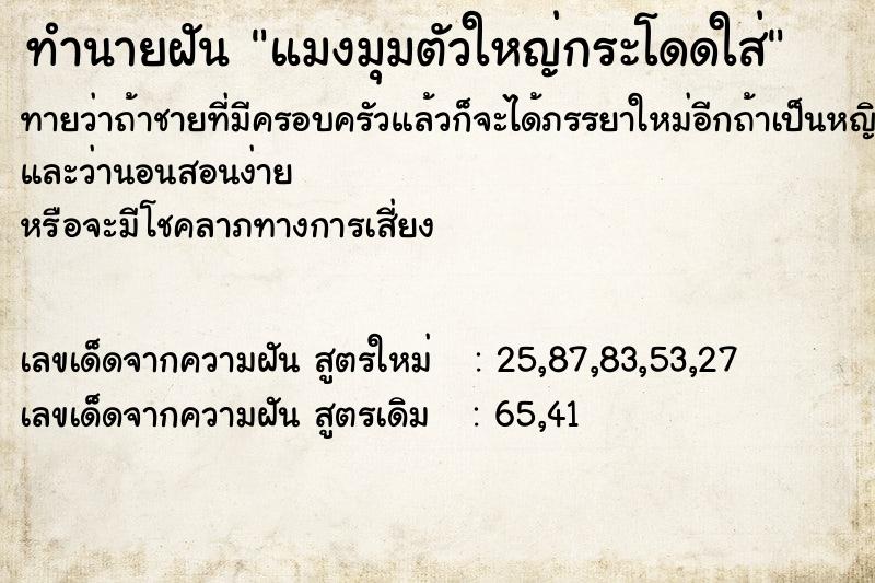 ทำนายฝัน แมงมุมตัวใหญ่กระโดดใส่ ทำนายฝัน แมงมุมตัวใหญ่กระโดดใส่