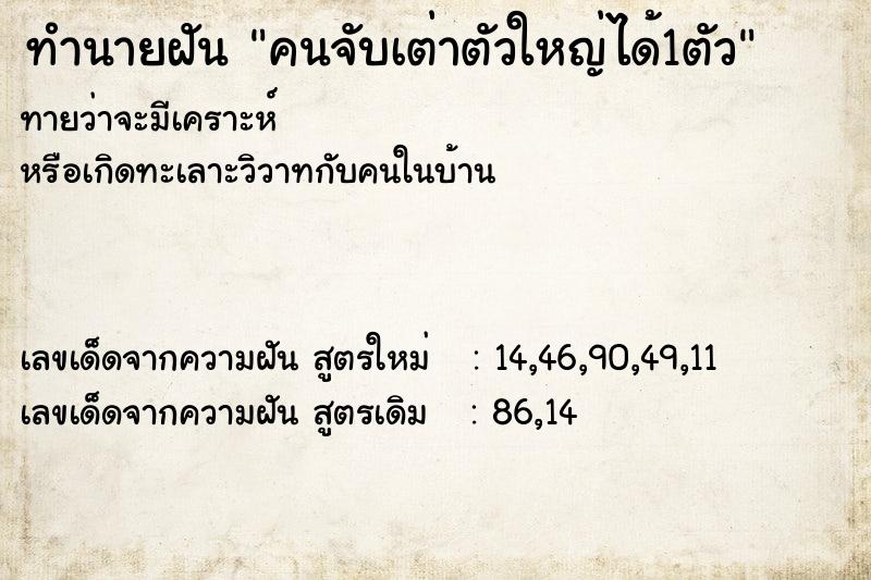 ทำนายฝันคนจับเต่าตัวใหญ่ได้1ตัว ทำนายฝันทำนายฝันคนจับเต่าตัวใหญ่ได้1ตัว