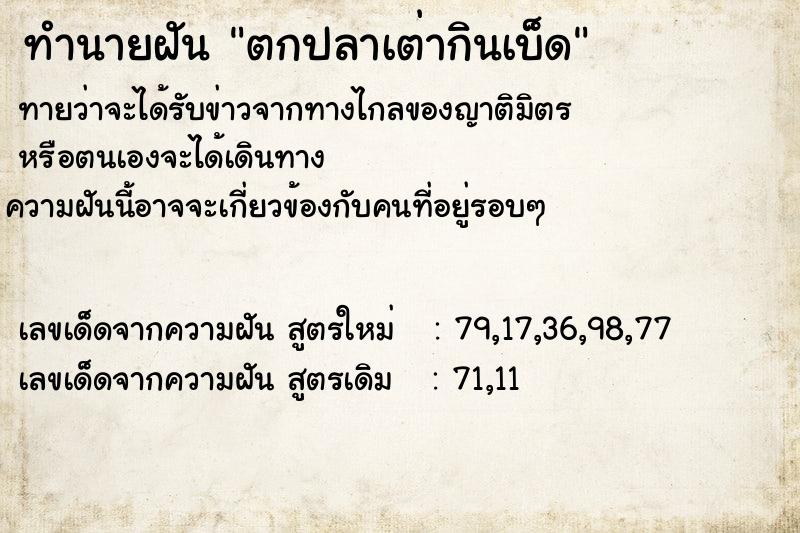 ทำนายฝันตกปลาเต่ากินเบ็ด ทำนายฝันทำนายฝันตกปลาเต่ากินเบ็ด