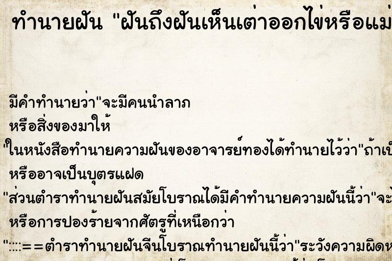 ทำนายฝัน ฝันถึงฝันเห็นเต่าออกไข่หรือแม่เก็บไข่เต่า ทำนายฝัน ฝันถึงฝันเห็นเต่าออกไข่หรือแม่เก็บไข่เต่า