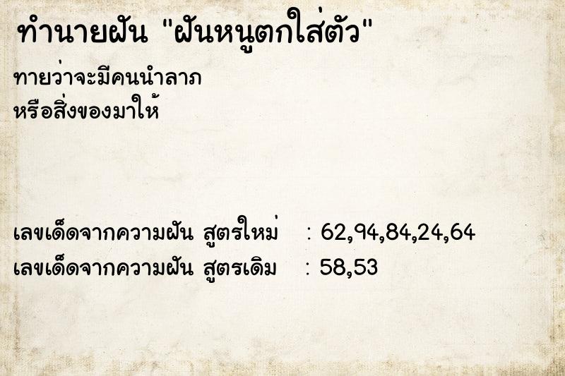 ทำนายฝันฝันหนูตกใส่ตัว ทำนายฝันทำนายฝันฝันหนูตกใส่ตัว