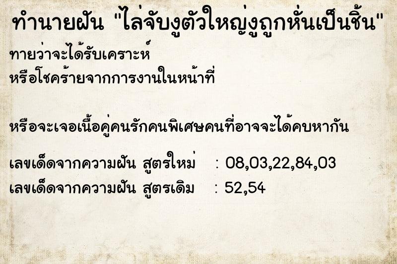 ทำนายฝันทำนายฝันไล่จับงูตัวใหญ่งูถูกหั่นเป็นชิ้น