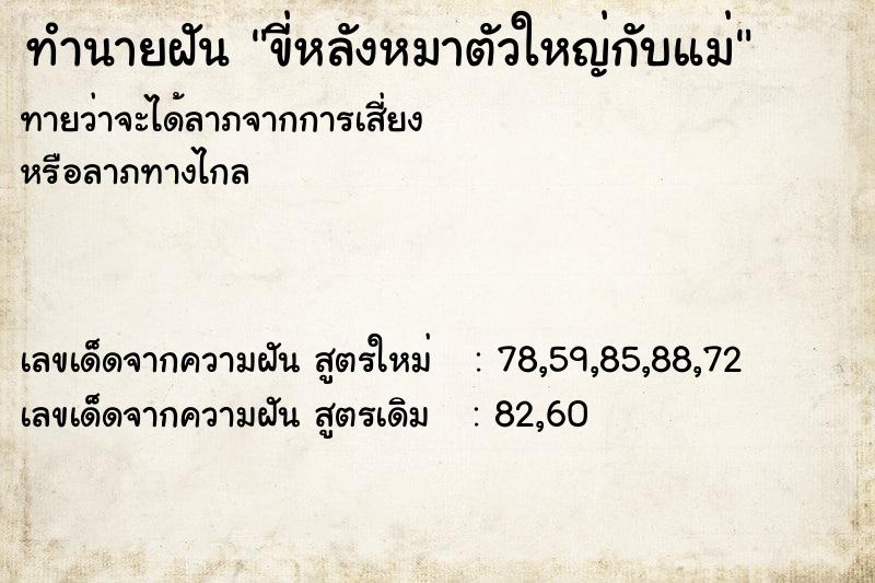 ทำนายฝันทำนายฝันขี่หลังหมาตัวใหญ่กับแม่
